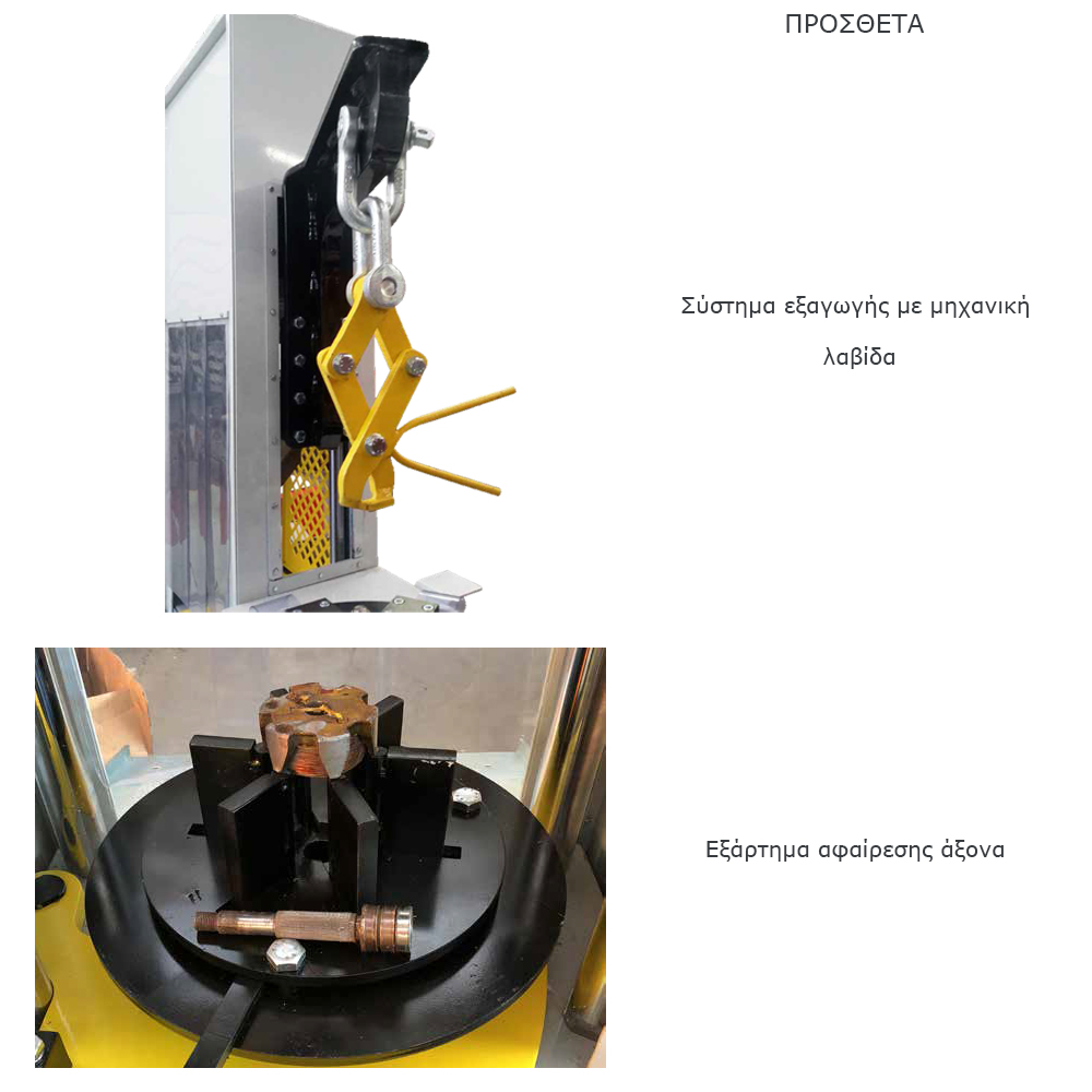 Tiger 300 TIger300_prostheta2